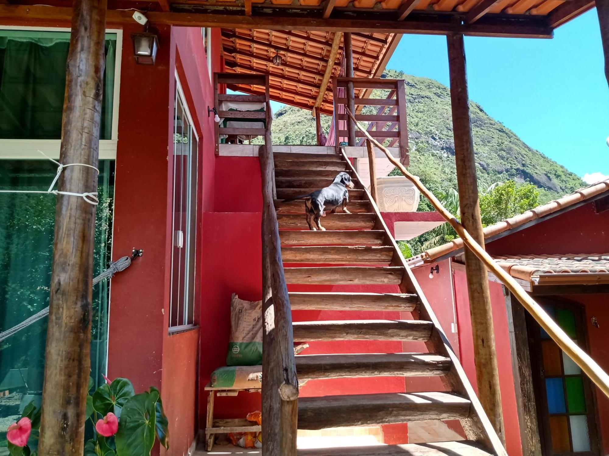 Kitnet Na Serra De Sao Pedro Nova Friburgo Oda fotoğraf